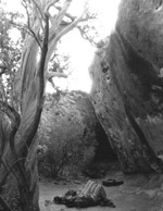 Jesse Matner and Peter DeSalvo admire the view from the bottom of “The Gymnasium” climbing area in Hueco Tanks State Park. Photo by Marni Foerster
