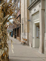 Mt. Horeb Main Street is known as the Trollway. Photo by Kelly Muray.